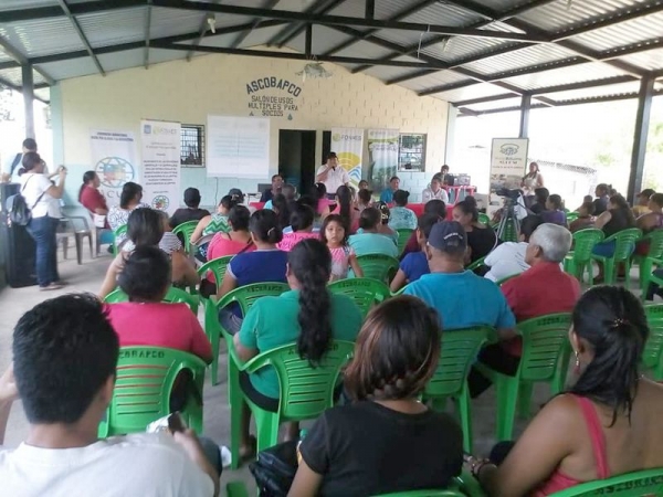 FONAES y ACUA reforestaran 53 manzanas de áreas de recarga hídrica